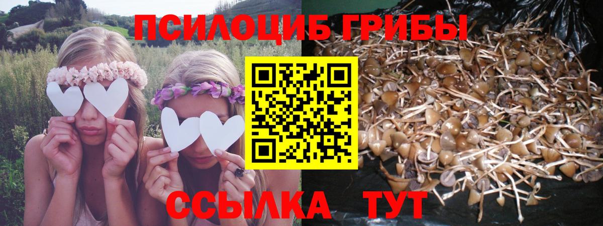 Псилоцибиновые грибы ЛСД Кандалакша