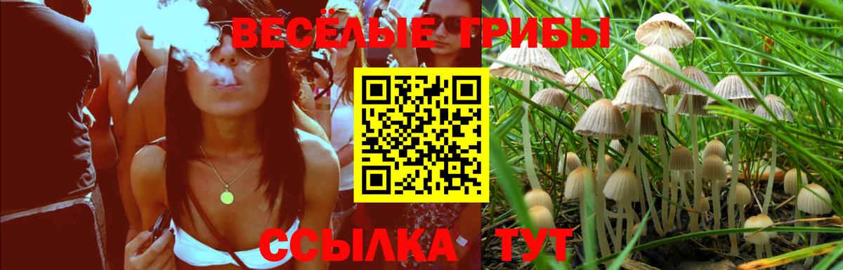 Псилоцибиновые грибы мицелий  Вход с VPN  Кандалакша 